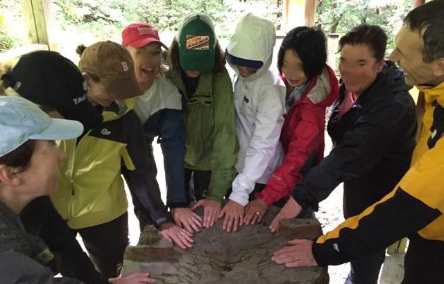 hikers-touching-stump-sacred-tree-gifu-forest